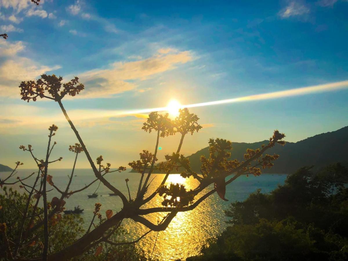 Homestay Van Duc Cu Lao Cham Tân Hiệ Buitenkant foto